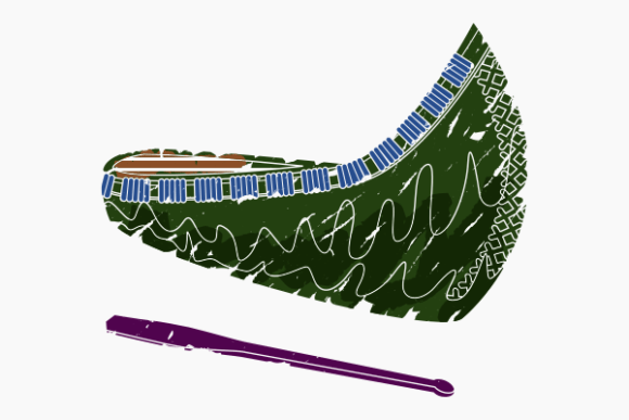 Brushed Oblique Native American Canoe Graphics