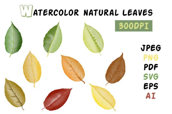 Cute Watercolor Leaves Set for Graphics and Illustrations