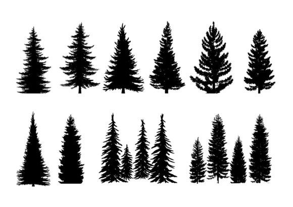 Set of 10 Pine Trees Silhouettes: A Versatile Graphic Asset for Branding