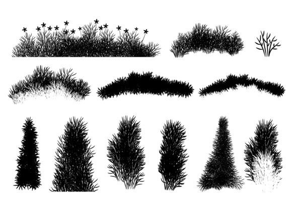 Set of 12 Plant Elements - Illustration for Graphics and Digital Products